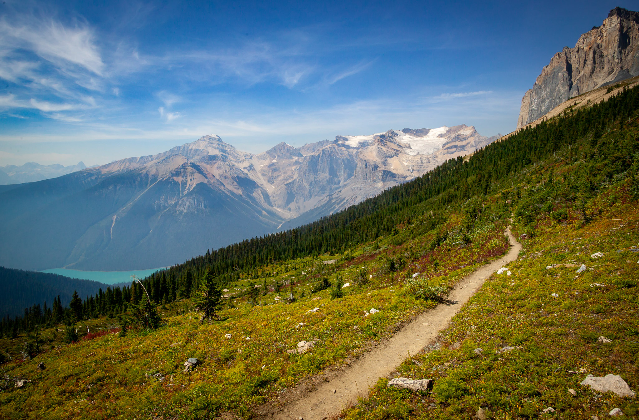 Mountain goats in the Burgess Shale restricted area (oldest fossils in North America)