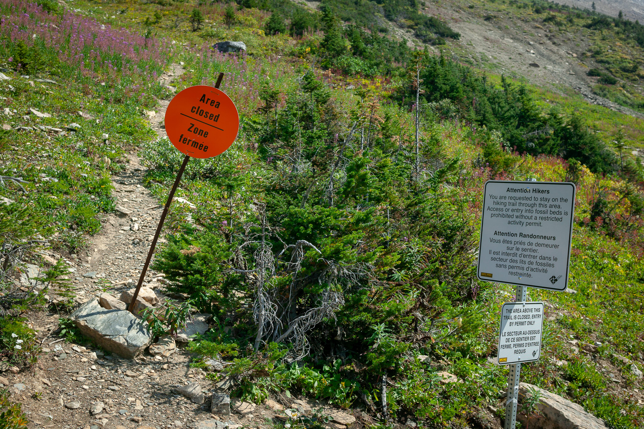 Burgess Shale restricted area (oldest fossils in North America)