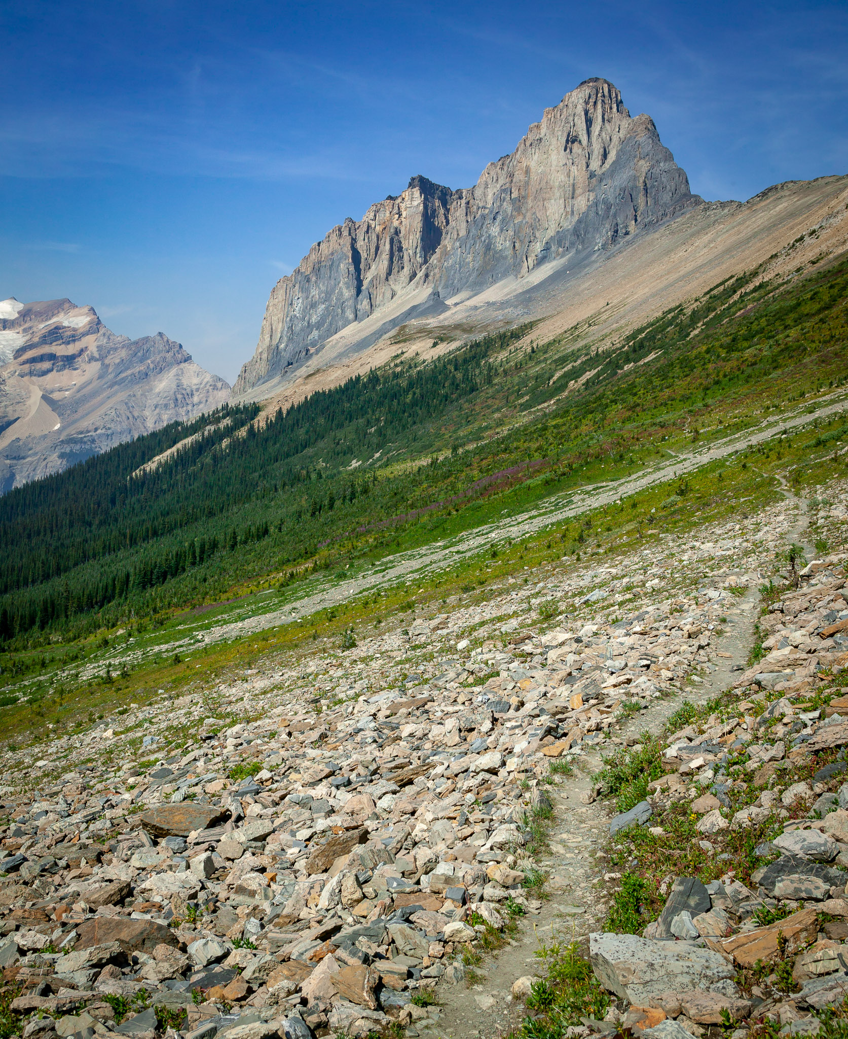 Burgess Shale Highline Trail