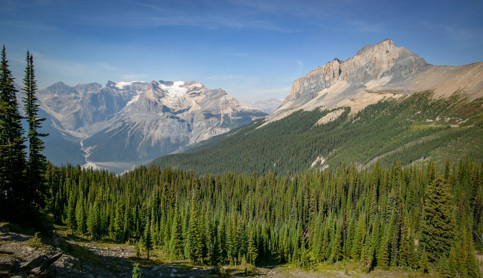 View from Burgess Shale Highline Trail