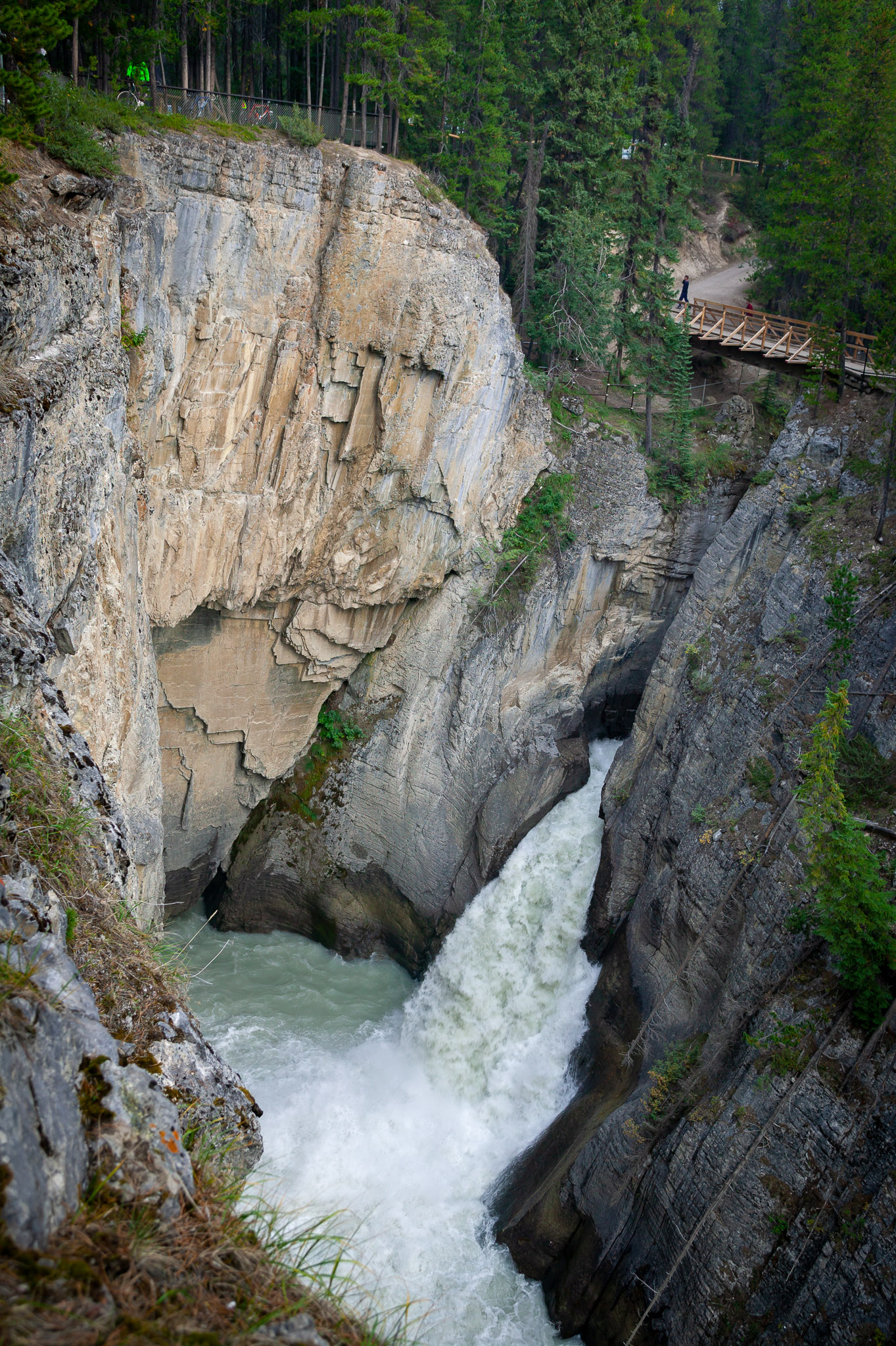 Sunwapta Falls