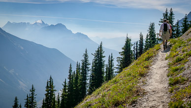 Trail down to Fields from Burgess Pass