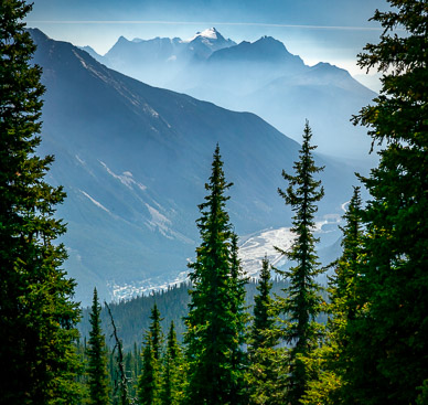 Fields from Burgess Pass