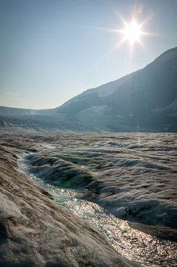 Columbia Icefield