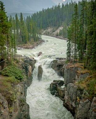 Sunwapta Falls