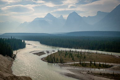 Kerkeslin Goat Lick on Sunwapta River