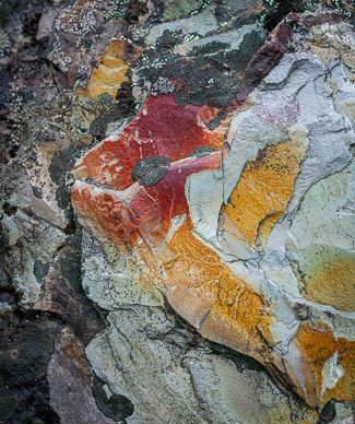 Close-up of Moraine Lake rock