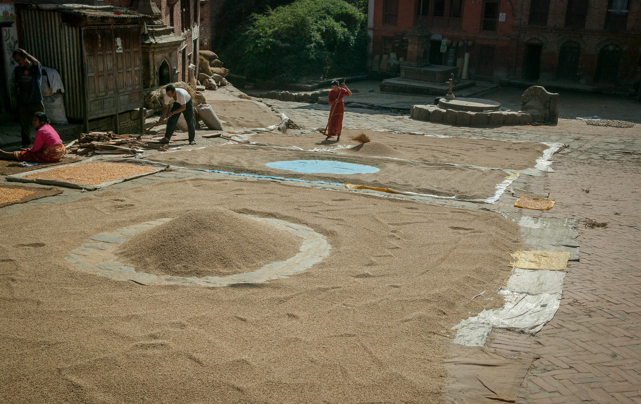Cleaning rice in Bhaktapur