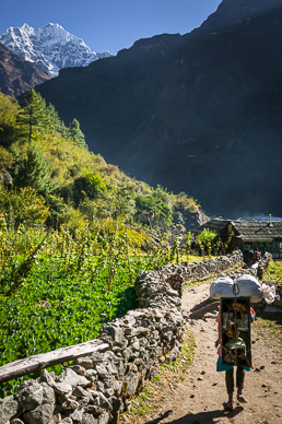 Continuing up the Dudh Kosi River canyon