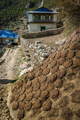 Drying stove fuel (Yak dung)