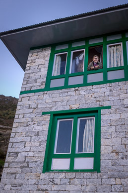 Poppy in lodge window