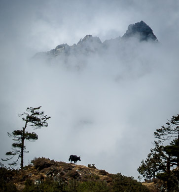View above Namche