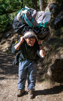 Porter carrying our bags
