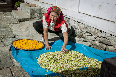 Drying vegetables