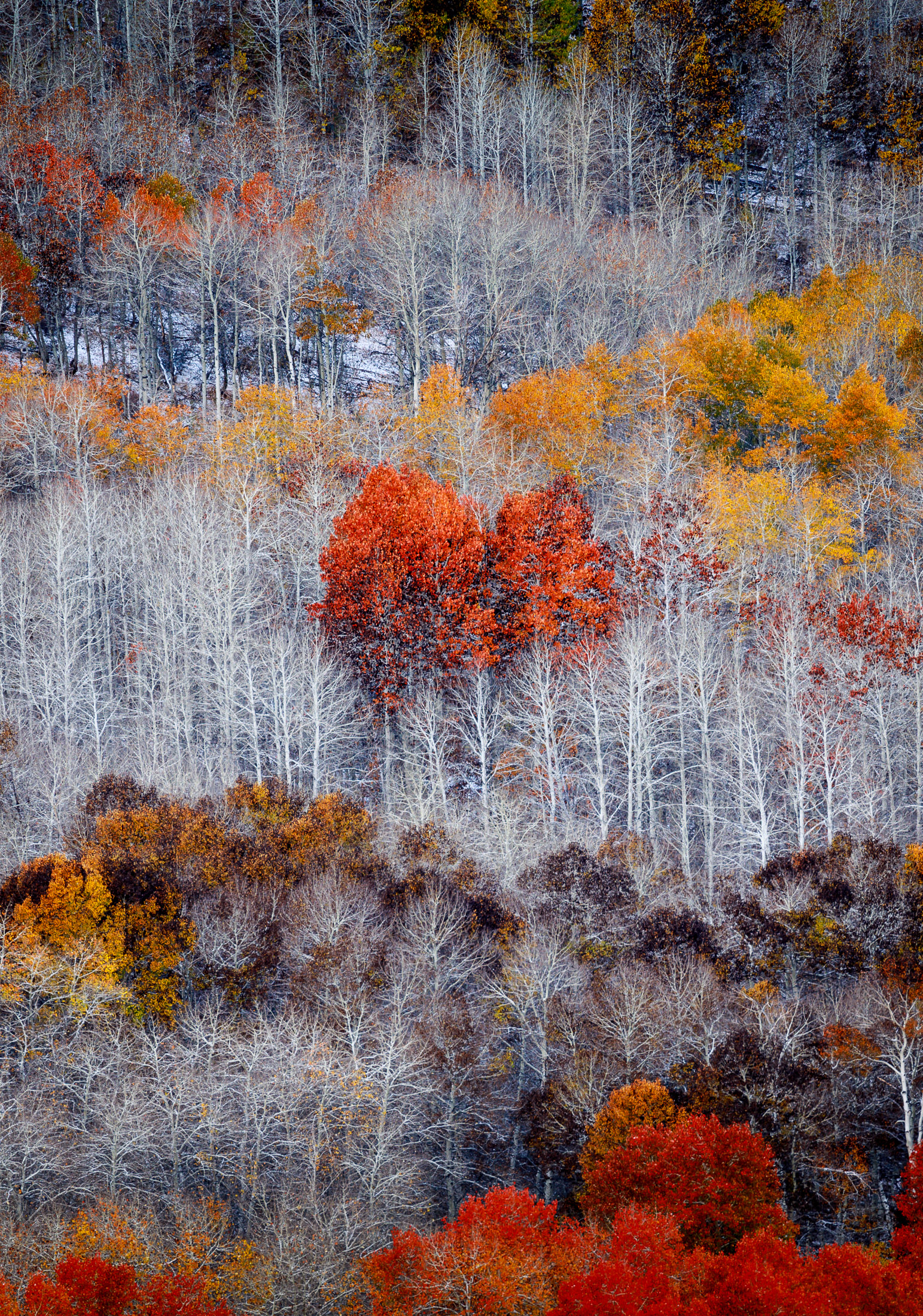 Steens Mountain Fall Color – Rick Samco Photography