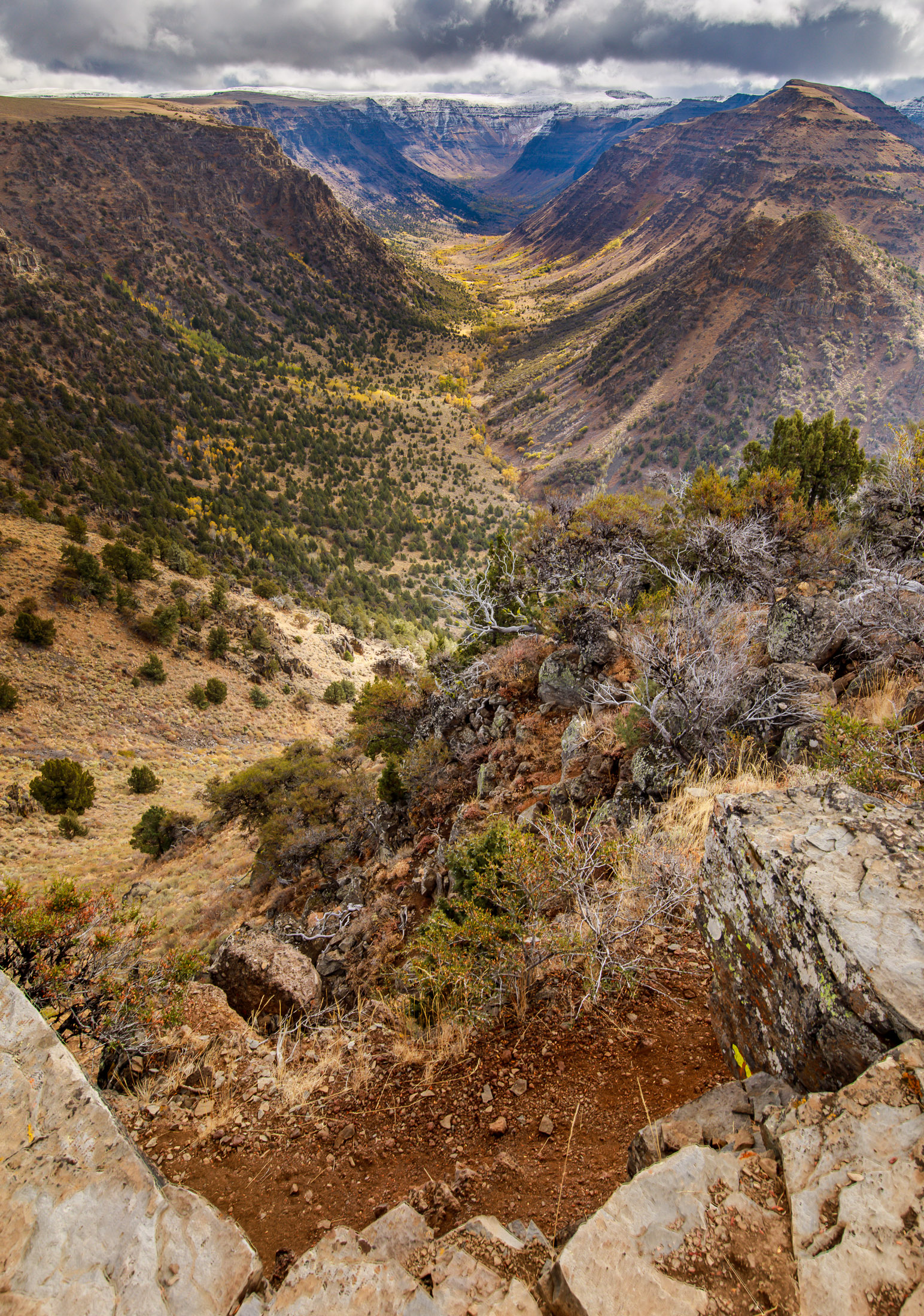 Steens Mountain Fall Color – Rick Samco Photography